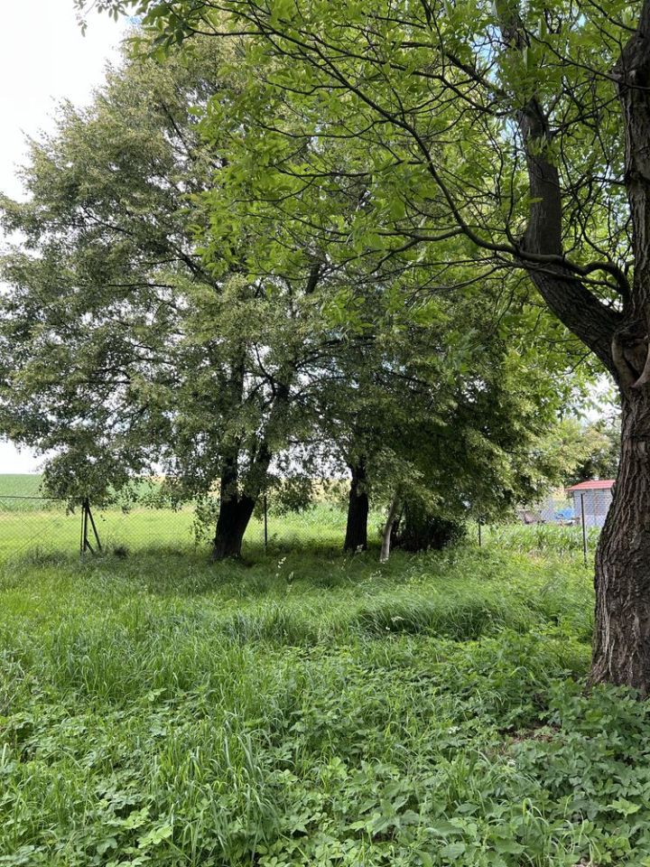 Działka rolno-budowlana Goszcza, ul. Załącze. Zdjęcie 6