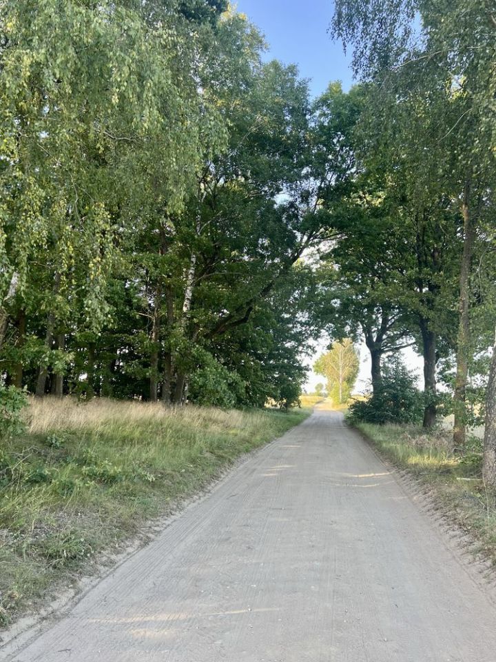 Działka budowlana Nowe Polaszki. Zdjęcie 2
