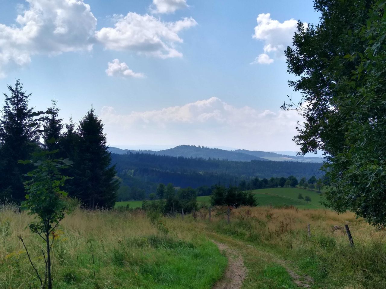 Działka Sierpnica. Zdjęcie 4