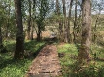 Działka siedliskowa Wierzchówko. Zdjęcie 1