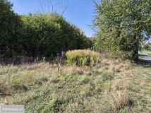 Działka budowlana Minkowice. Zdjęcie 1