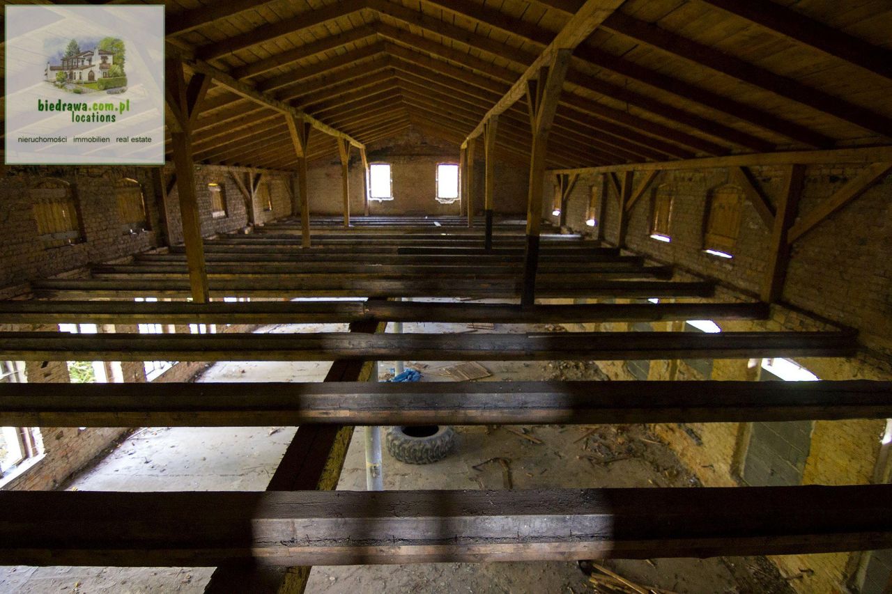 Lokal Duszniki-Zdrój. Zdjęcie 11