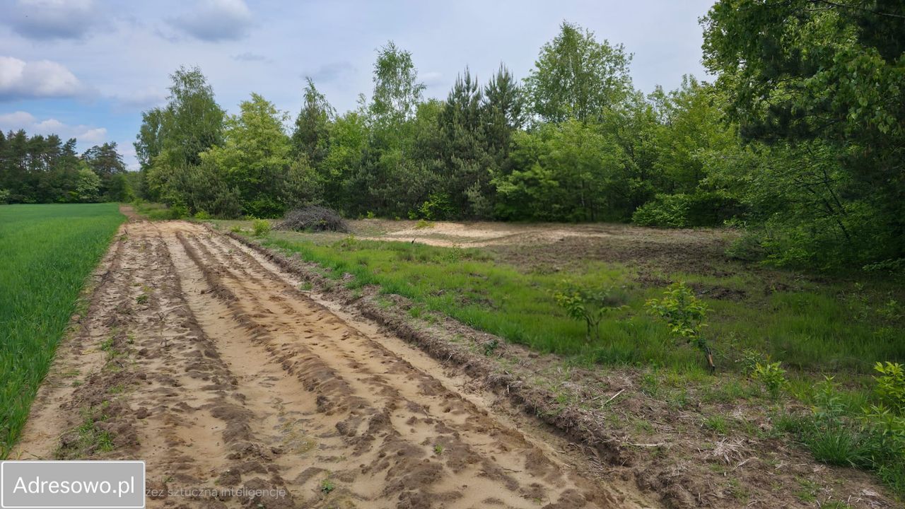 Działka rolna Wólka Biska. Zdjęcie 2