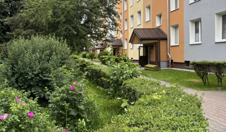 Mieszkanie 3-pokojowe Biała Podlaska, ul. Orzechowa