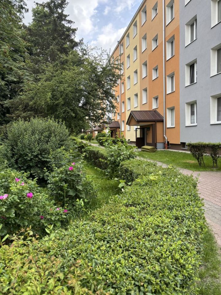 Mieszkanie 3-pokojowe Biała Podlaska, ul. Orzechowa