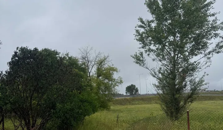 Działka rolna Toruń