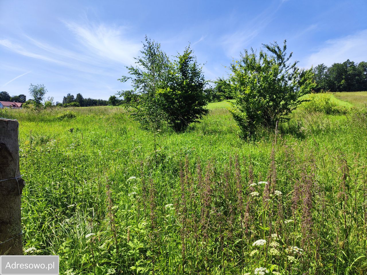 Działka budowlana Dzikowiec. Zdjęcie 11