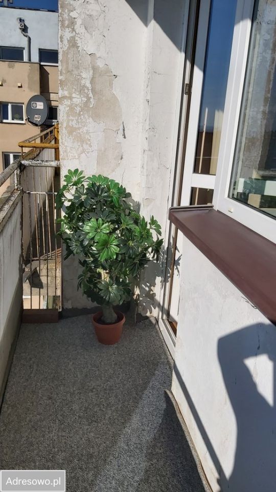 Mieszkanie 1-pokojowe Będzin Syberka, ul. Józefa Skalskiego. Zdjęcie 3