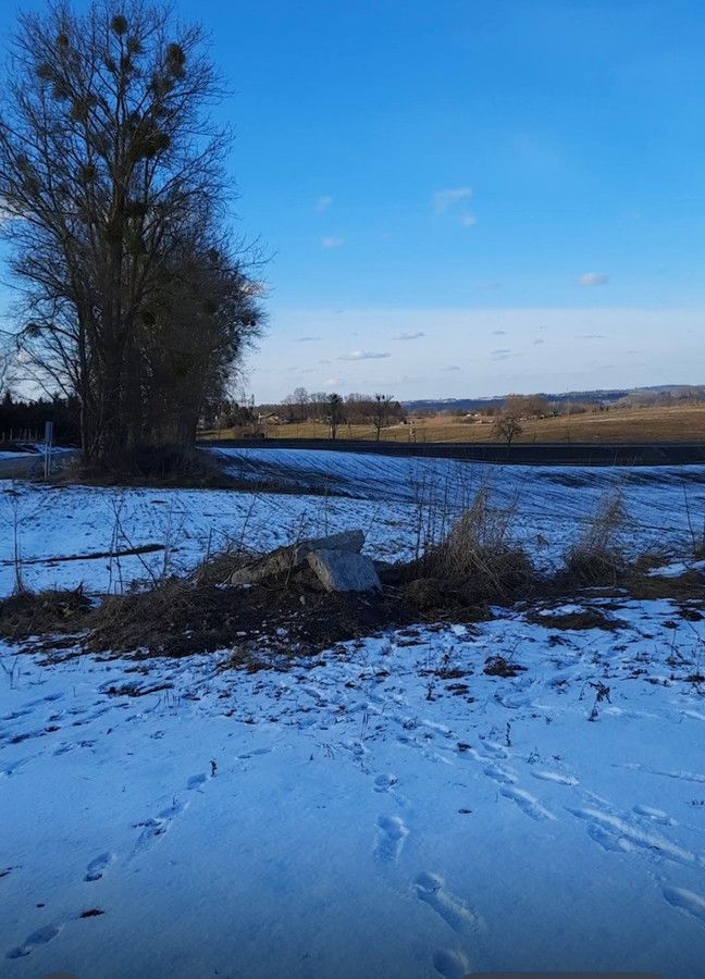 Działka rolna Muntowo. Zdjęcie 1