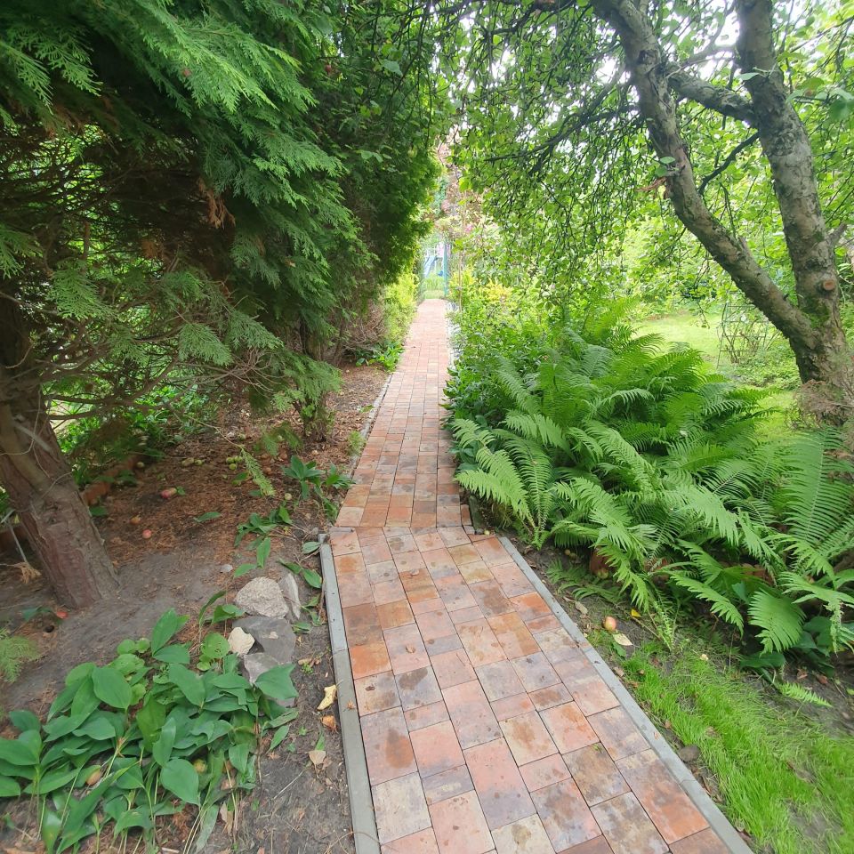 Działka rod Sosnowiec Zagórze, al. Ignacego Paderewskiego. Zdjęcie 3