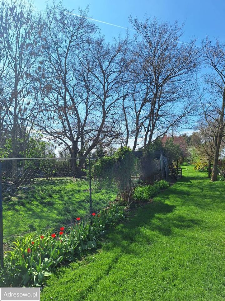 dom wolnostojący, 4 pokoje Bartoszowa. Zdjęcie 4