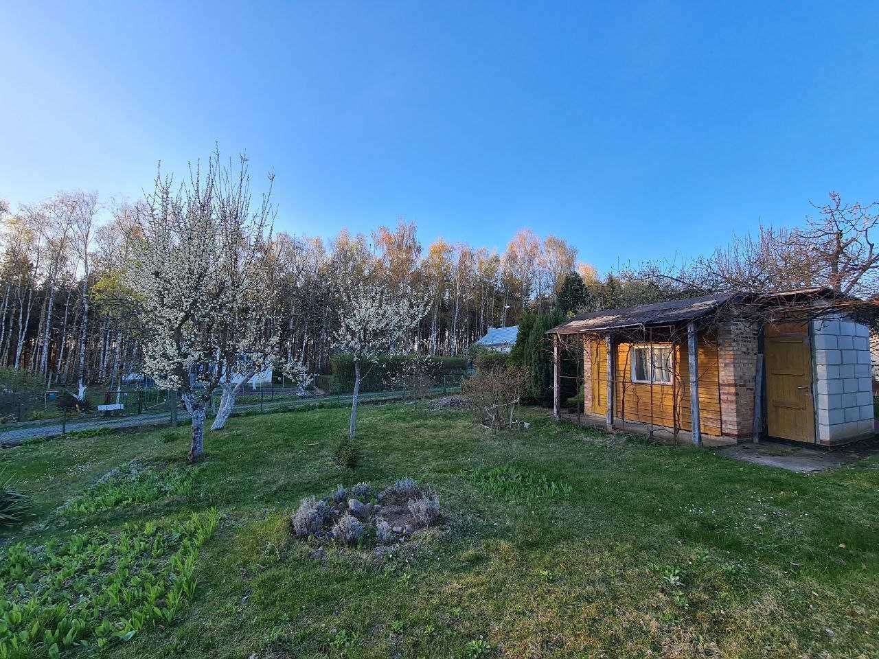 Działka rod Wilkanowo. Zdjęcie 6