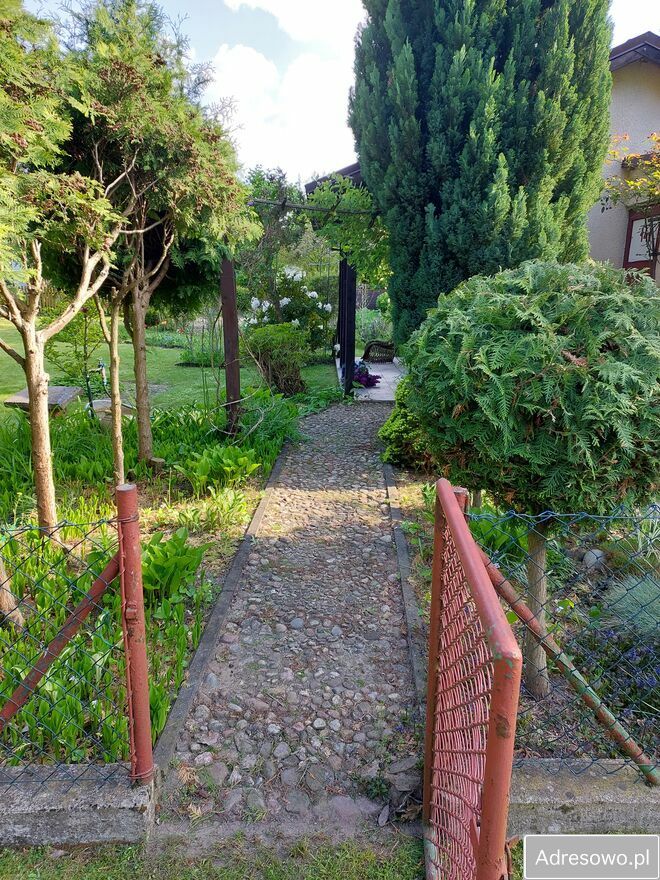 Działka rod Rumin. Zdjęcie 4