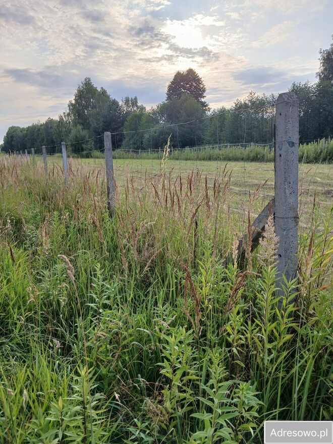 Działka budowlana Chojnów. Zdjęcie 6