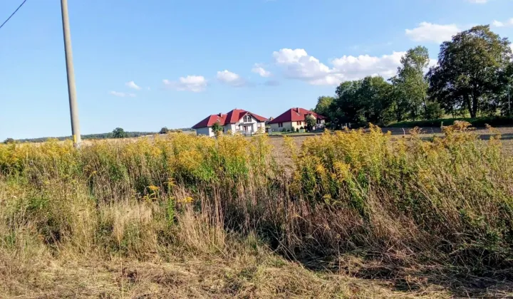 Działka budowlana Lubków