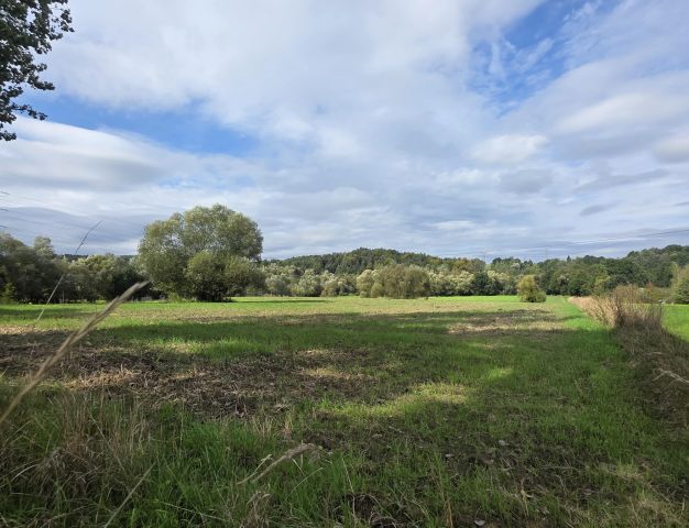 Działka inwestycyjna Krzywaczka. Zdjęcie 5