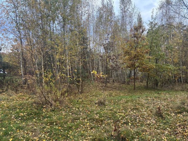 Działka budowlana Wilkszyn, ul. Świętego Mikołaja. Zdjęcie 1