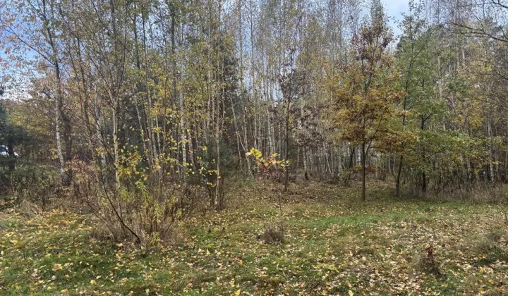 Działka budowlana Wilkszyn, ul. Świętego Mikołaja