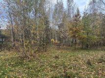 Działka budowlana Wilkszyn, ul. Świętego Mikołaja