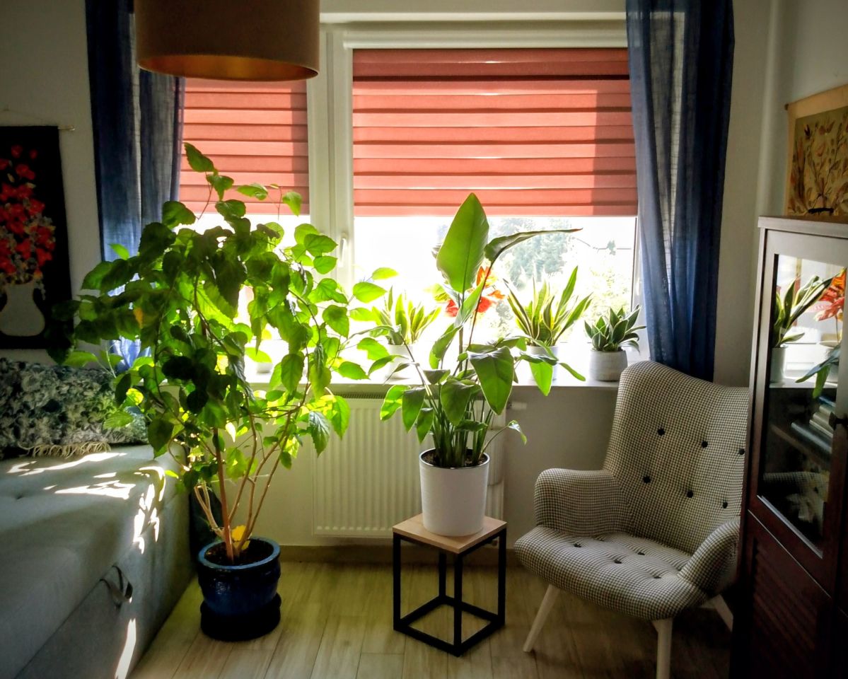 Mieszkanie 3-pokojowe Szczecinek, ul. Moniuszki. Zdjęcie 6