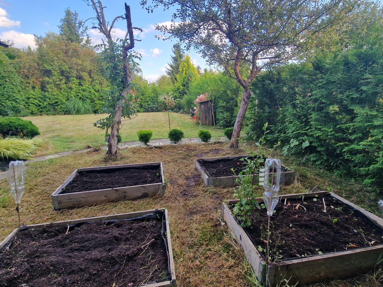 Działka rod Łuków, al. Wojska Polskiego. Zdjęcie 4