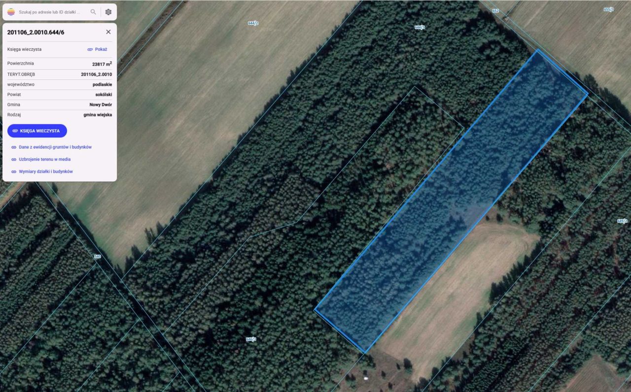 Działka leśna Nowy Dwór. Zdjęcie 4