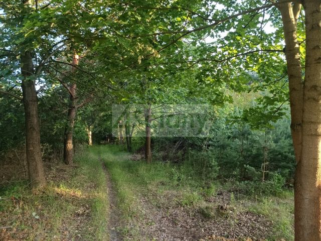 Działka budowlana Sulejówek Ratajewo. Zdjęcie 4