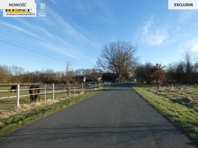 dom wolnostojący, 3 pokoje Sobieszewo. Zdjęcie 11