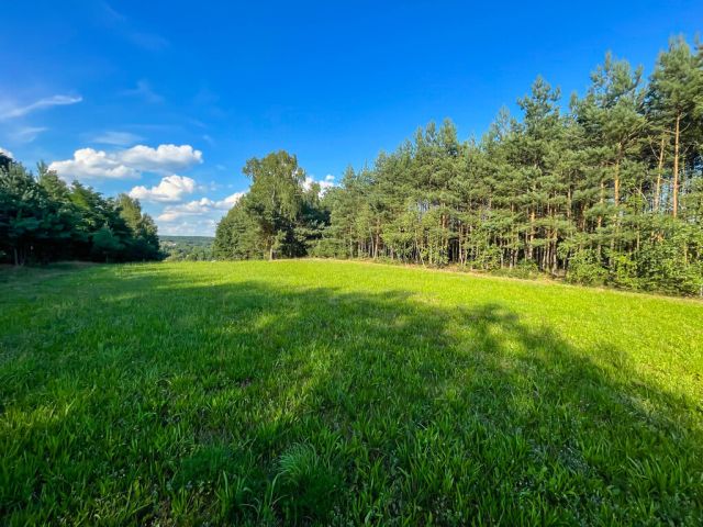 Działka budowlana Kuczów. Zdjęcie 7