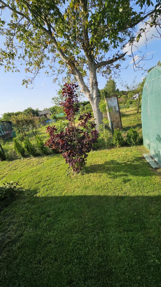 Działka rod Lubin, ul. Ścinawska. Zdjęcie 4