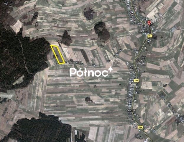 Działka rolno-budowlana Strzegowa. Zdjęcie 5