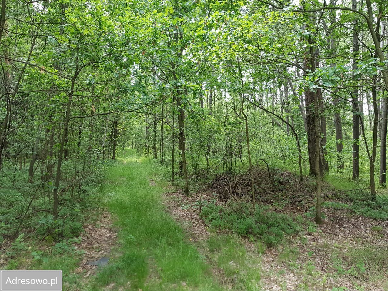 Działka budowlana Kontrewers. Zdjęcie 17
