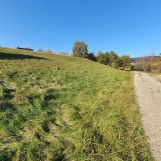 Działka budowlana Bartkowa-Posadowa. Zdjęcie 1