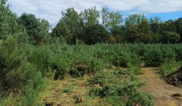 Działka budowlana Rościęcino