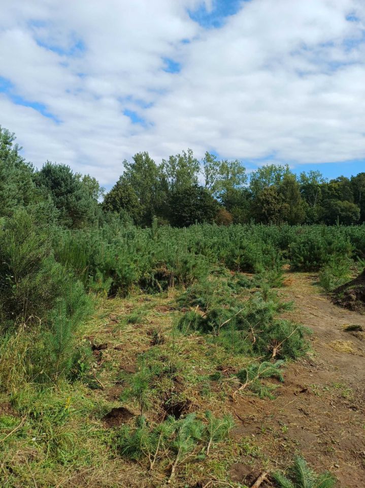 Działka budowlana Rościęcino