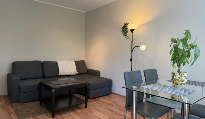 Mieszkanie 1-pokojowe Łódź Teofilów, ul. Rojna