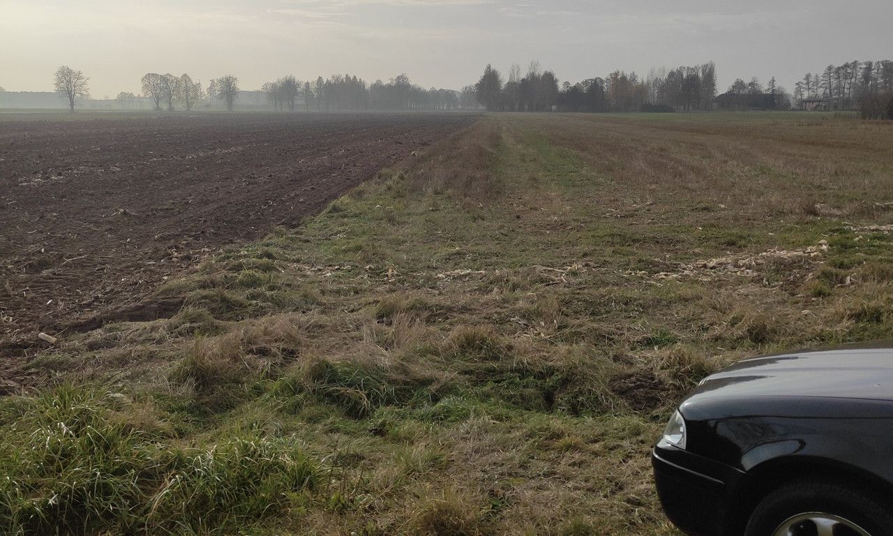 Działka rolna Brzeźnio, ul. Wspólna. Zdjęcie 6