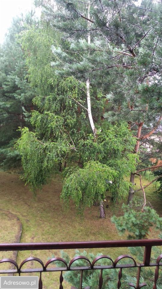 dom wolnostojący, 5 pokoi Krasnobród. Zdjęcie 16