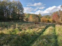 Działka rolna Nagórze. Zdjęcie 3