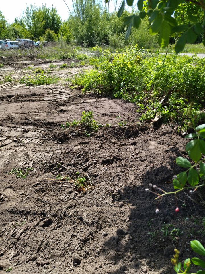 Działka budowlana Grodzisk Mazowiecki Centrum, ul. Morelowa. Zdjęcie 2
