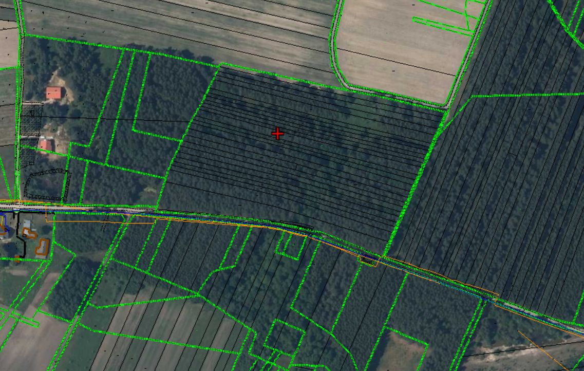 Działka leśna Żuków. Zdjęcie 3