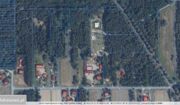 Działka rolno-budowlana Wilchta