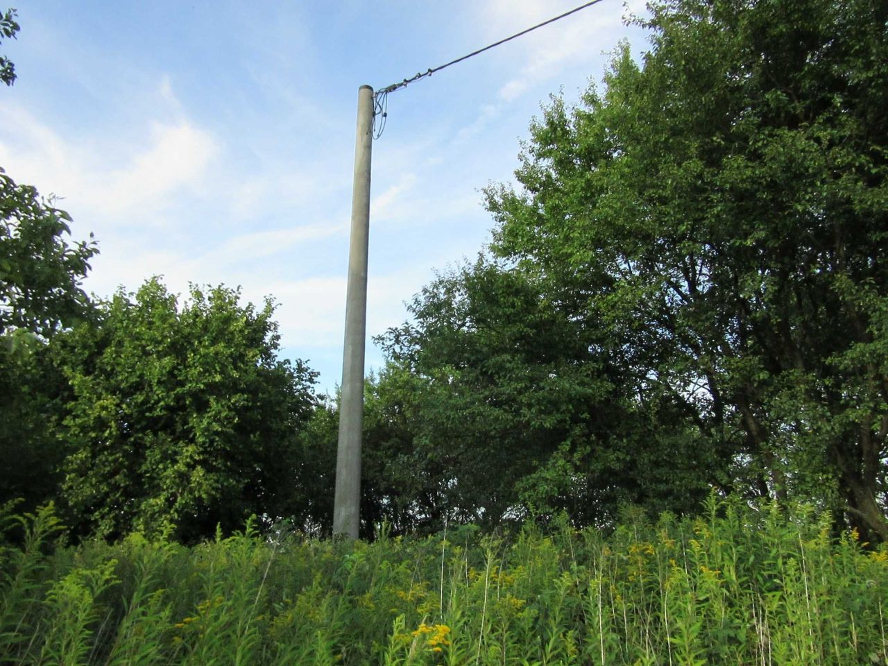 Działka siedliskowa Stawki. Zdjęcie 4