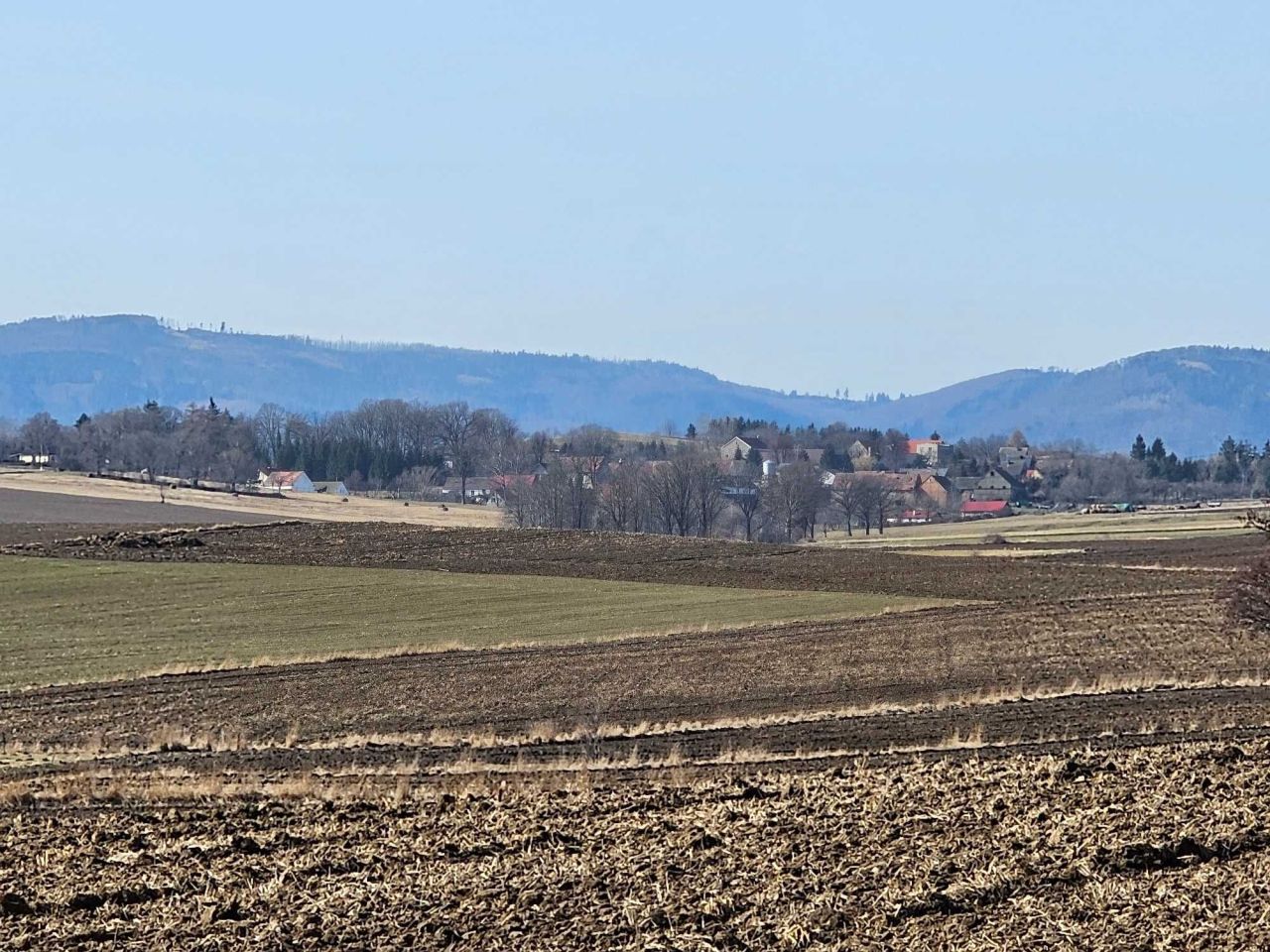 Działka budowlana Przedborowa. Zdjęcie 1