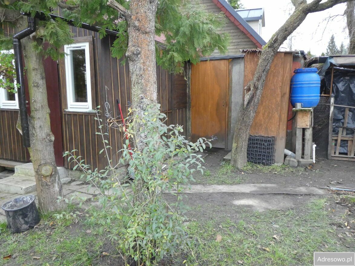 Działka rod Katowice, ul. Porfirowa. Zdjęcie 8