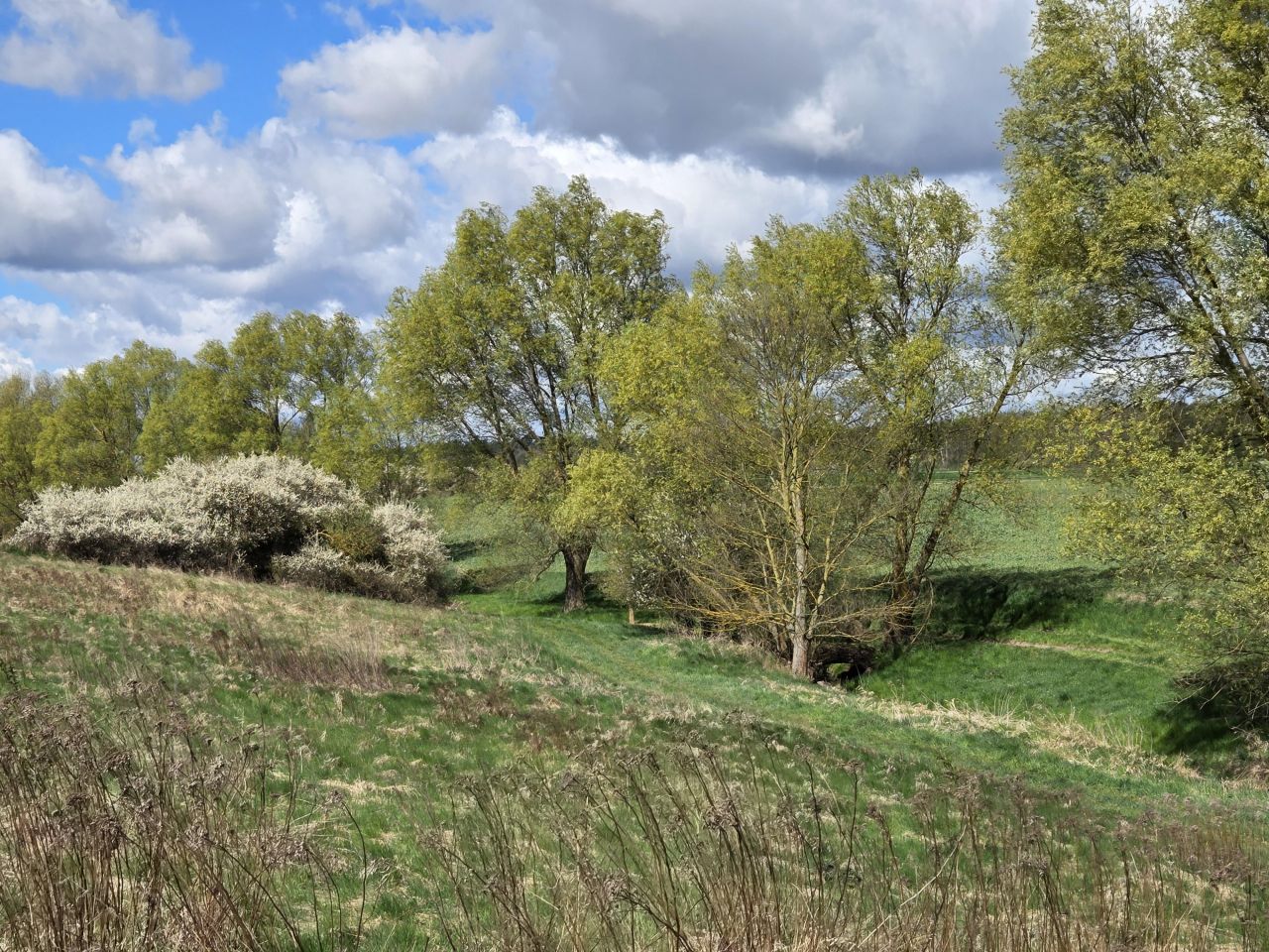 Działka budowlana Łubianka, ul. Aleja Jana Pawła II. Zdjęcie 7