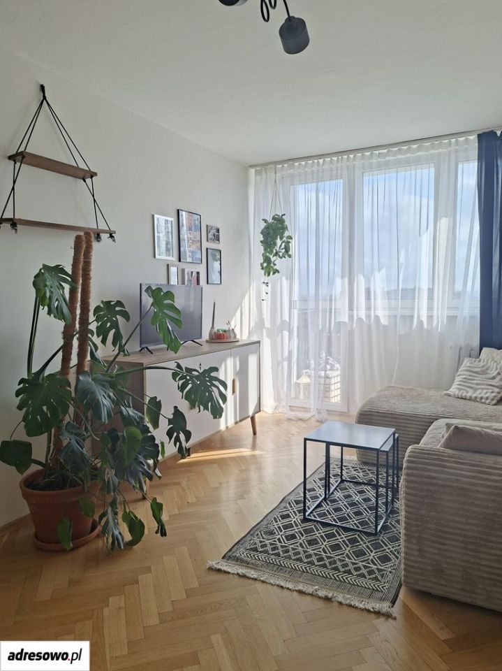 Mieszkanie 2-pokojowe Poznań Grunwald, ul. Krzysztofa Arciszewskiego. Zdjęcie 2