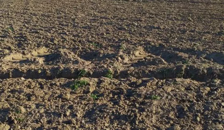 Działka rolno-budowlana Raczyn