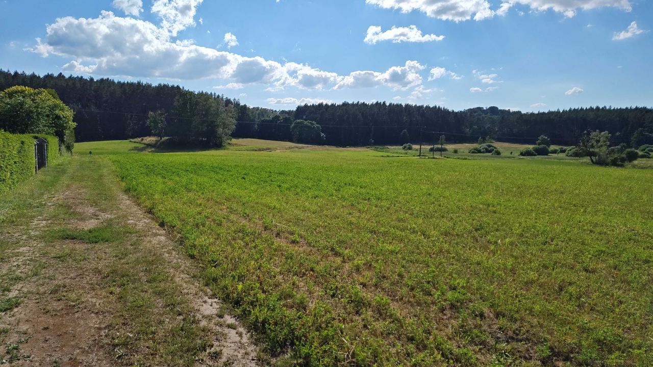 Działka budowlana Kwiedzina. Zdjęcie 6