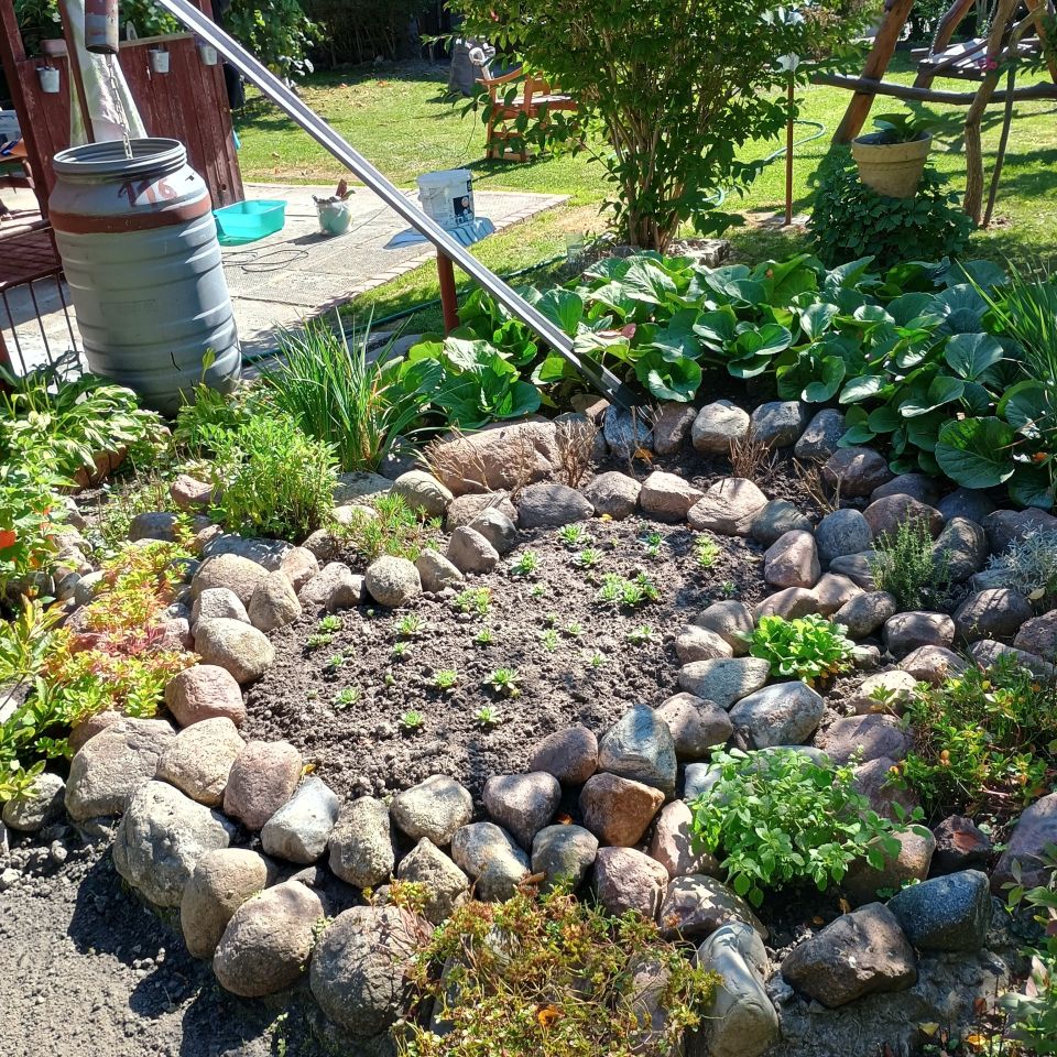 Działka rod Płock, ul. Dobrzyńska. Zdjęcie 7